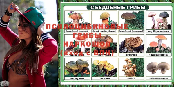 сатива Аркадак