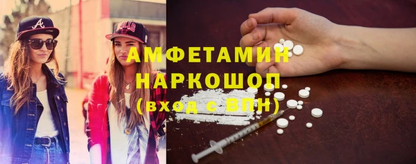 сатива Аркадак