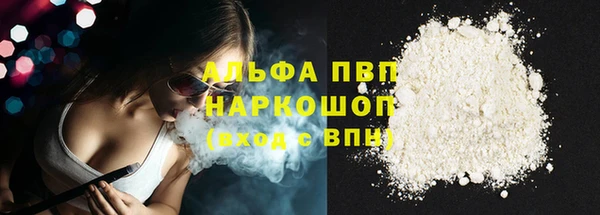 сатива Аркадак
