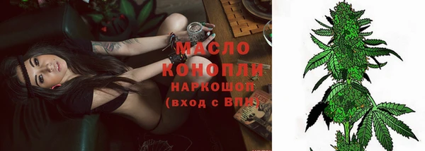 сатива Аркадак