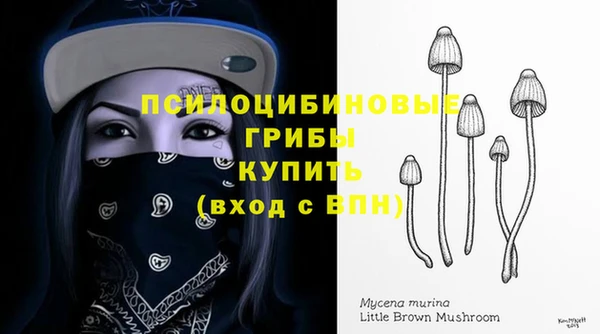 спиды Алексин