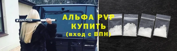 сатива Аркадак
