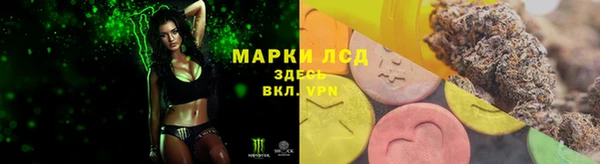 сатива Аркадак